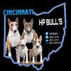 HP Bull’s