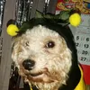 norilycastillorabelas