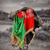afg_travels