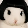 deenaˢᵐᵒˡ