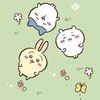 cherru_2209