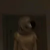 slvsptri