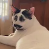 jsarang7