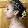 amadiise