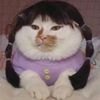 pedropascalslittlebunny