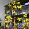 nguyendinhson26