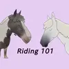 riding101