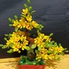 nguyenhuynhgiao01
