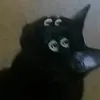 skglv7