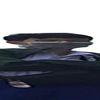 balo_dleifna
