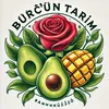 adnanburcun33