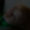 user34619148