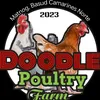 doodlepoultryfarm