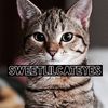 sweetlilcateyes