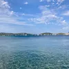 sofia_m_h