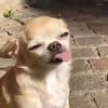 porthip__