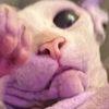 donttalktomeormyson