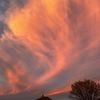 pshyck_209