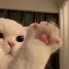 kmadinug
