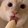 __nxnnx__