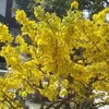 nhonguyen564