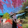 hangnguyen66198