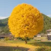 6.7.4.2023py