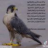 30501041273