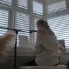 paigedennis