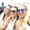 arriolers