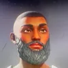 zebilamouche_idiv