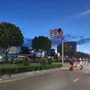 bearreview11