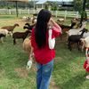 thida_petch