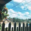 yennhiynhi
