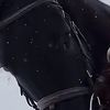 lovemistake4