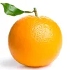 tangerine14344
