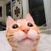 aan0suyy_