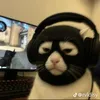 phamtruongjtb