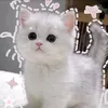 _dymiu_