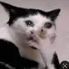 itzalexxe