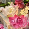 hongsen_123456