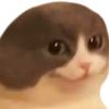 mrteppi