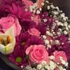 rose777f