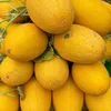 phong_phu_tiktok