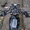 bimawilly_