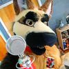 thatdancingdog