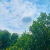linh_22_4