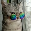 user805213197