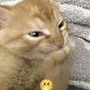 milxi3_