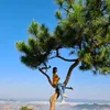 phuong_allie